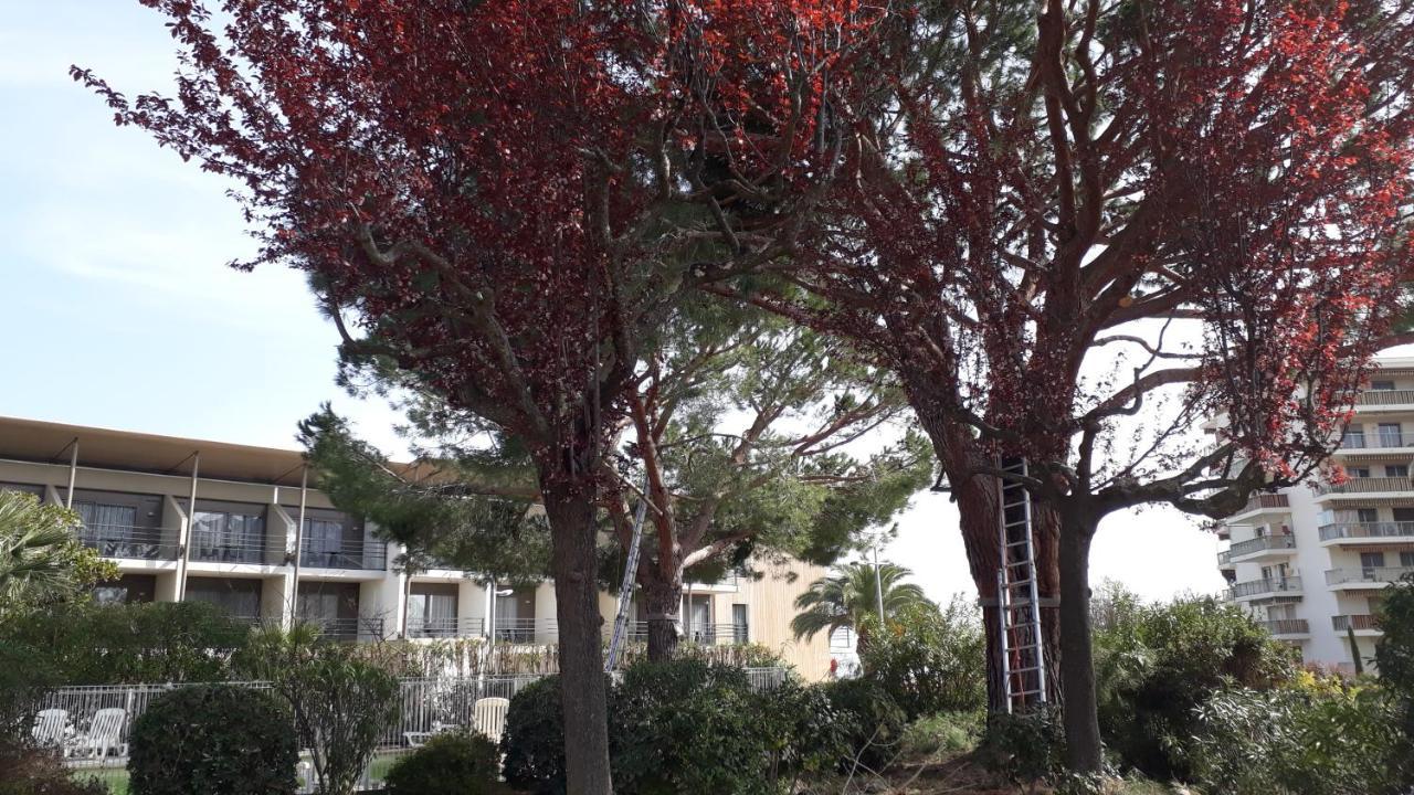 Appartement Zen Garden Beach, Marinland-parc, Swimming Pool, Fibre Optique Antibes