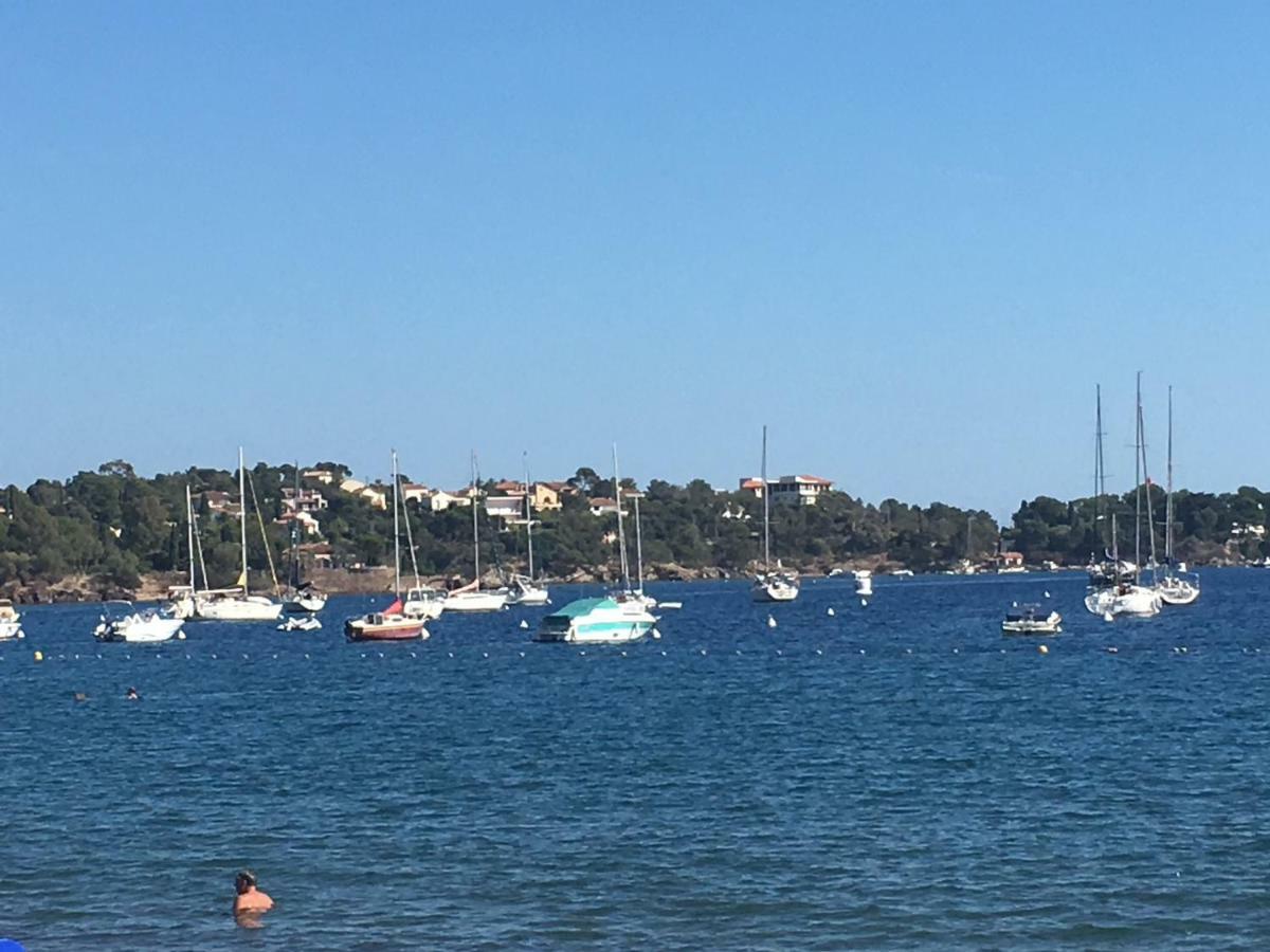 Zen Garden Beach, Marinland-parc, Swimming Pool, Fibre Optique Appartement Antibes
